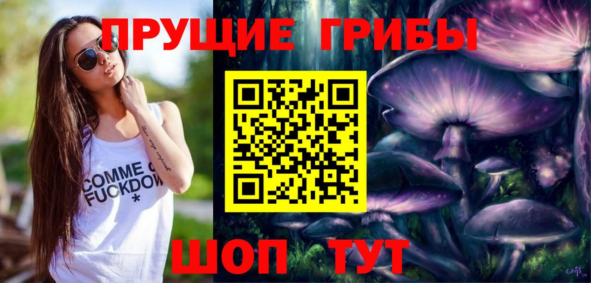 Галлюциногенные грибы Psilocybe Урюпинск